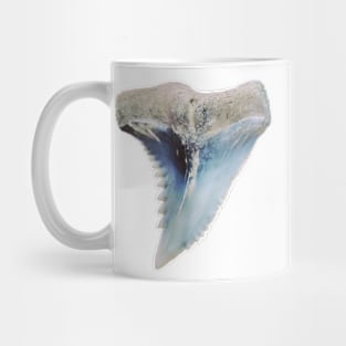Pattern Blue Grey Shark Tooth Fossil Print Mug